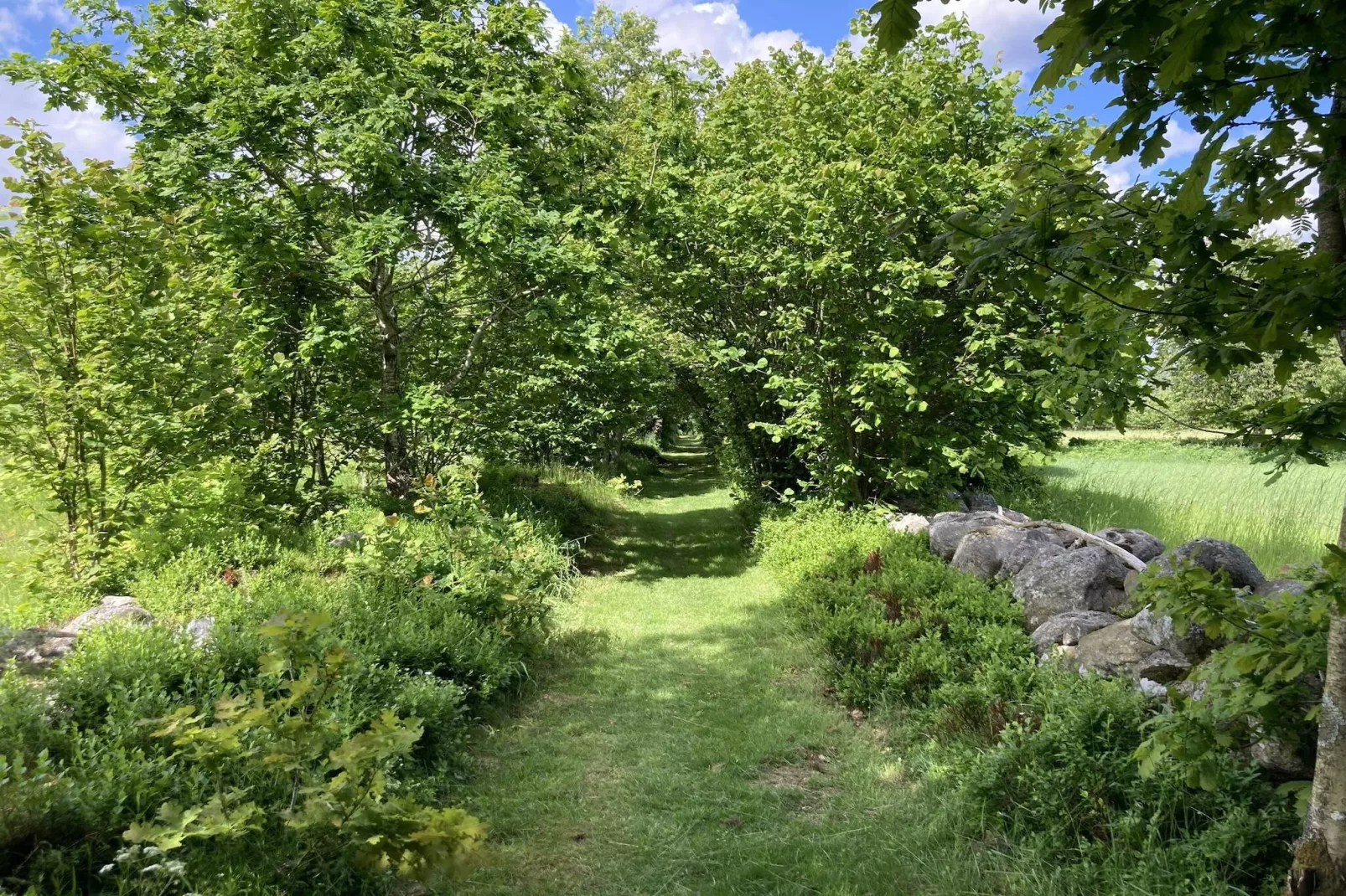4 Sterne Ferienhaus in BRÖSARP-Im Freien