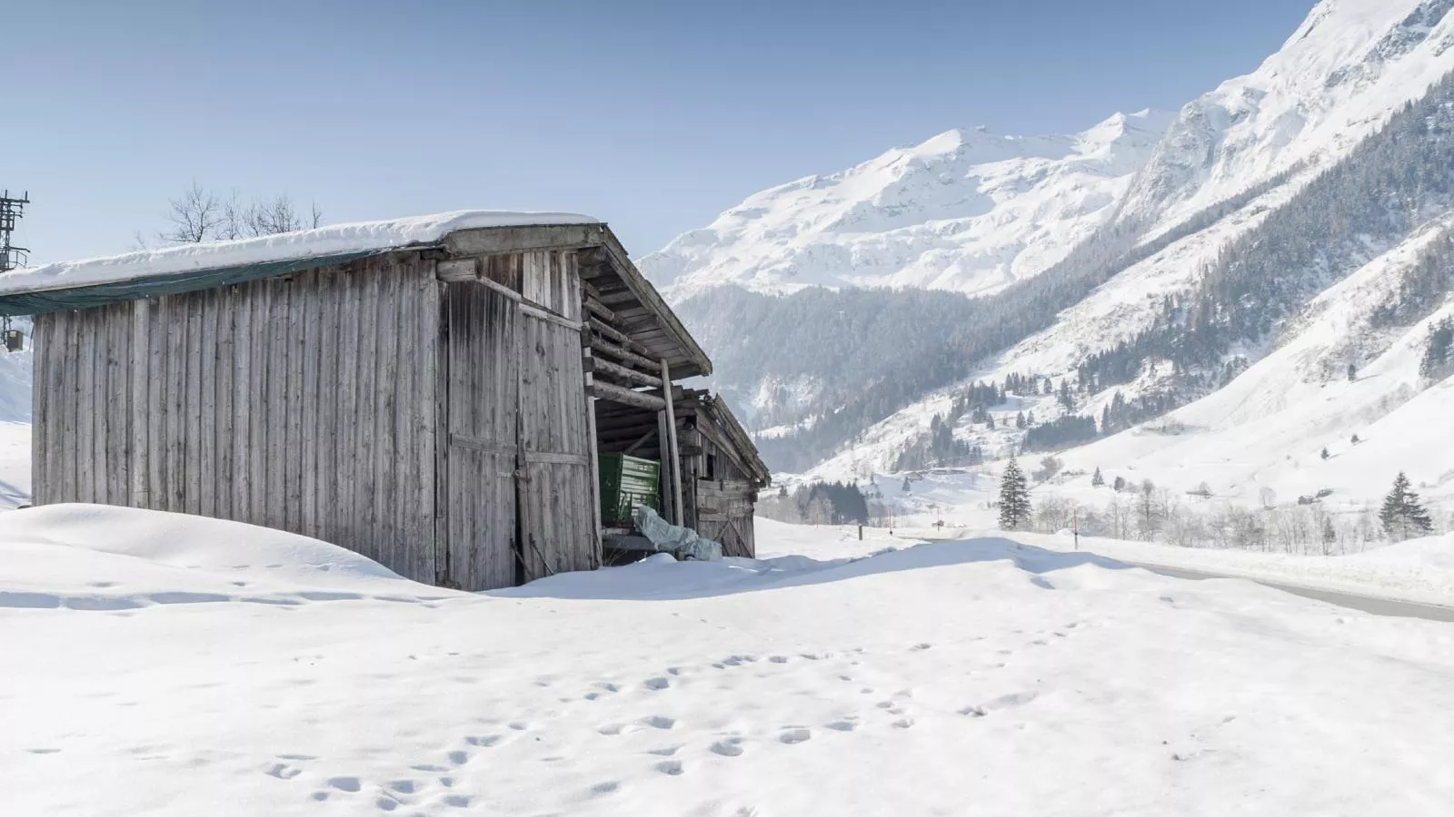 Goldhänchen-Gebiet Winter 20 km