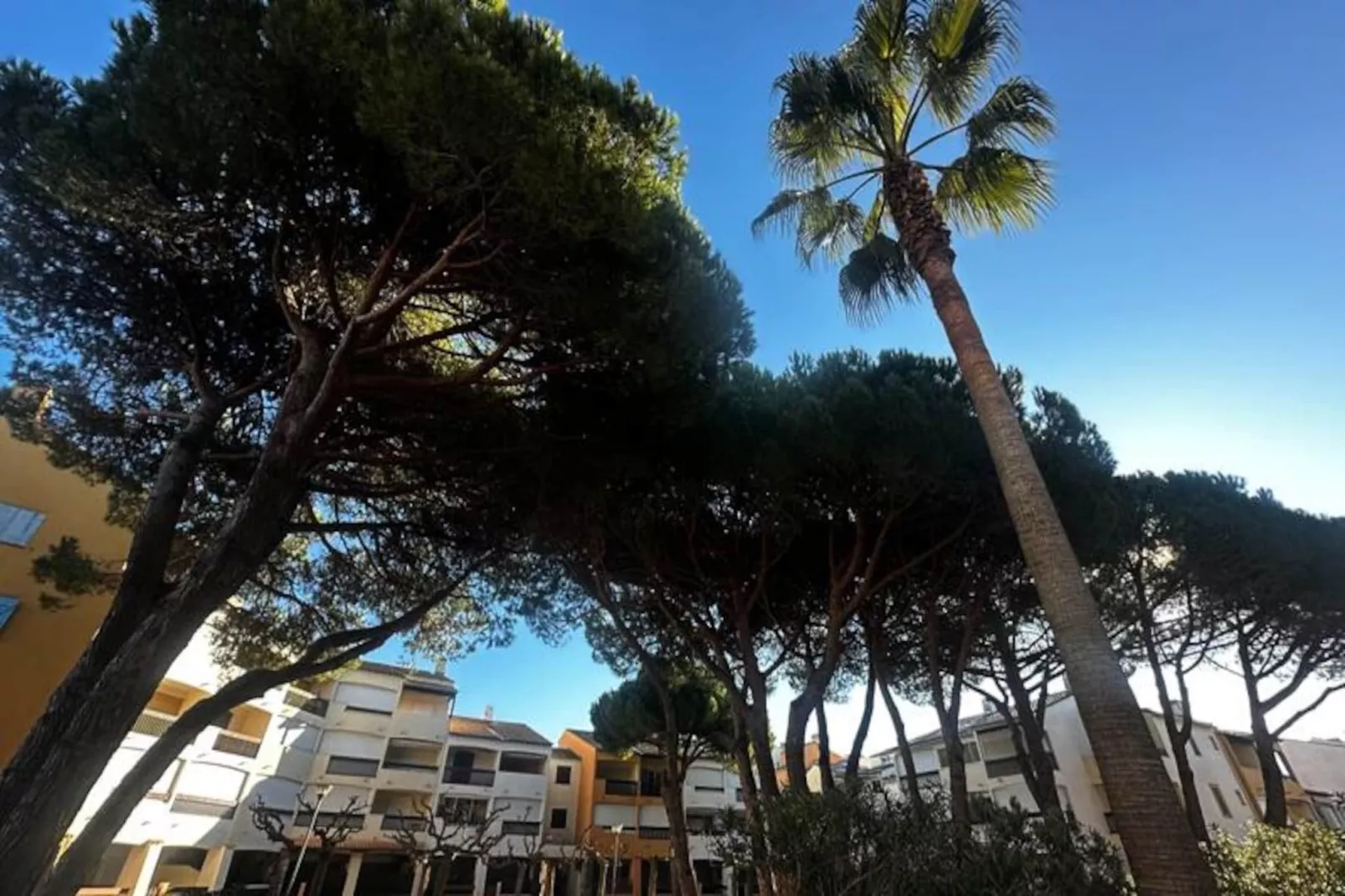 Résidence Appartement Camargue Village &agrave; Deux Pas De La Plage Du Boucanet-Nicht zugeordnet