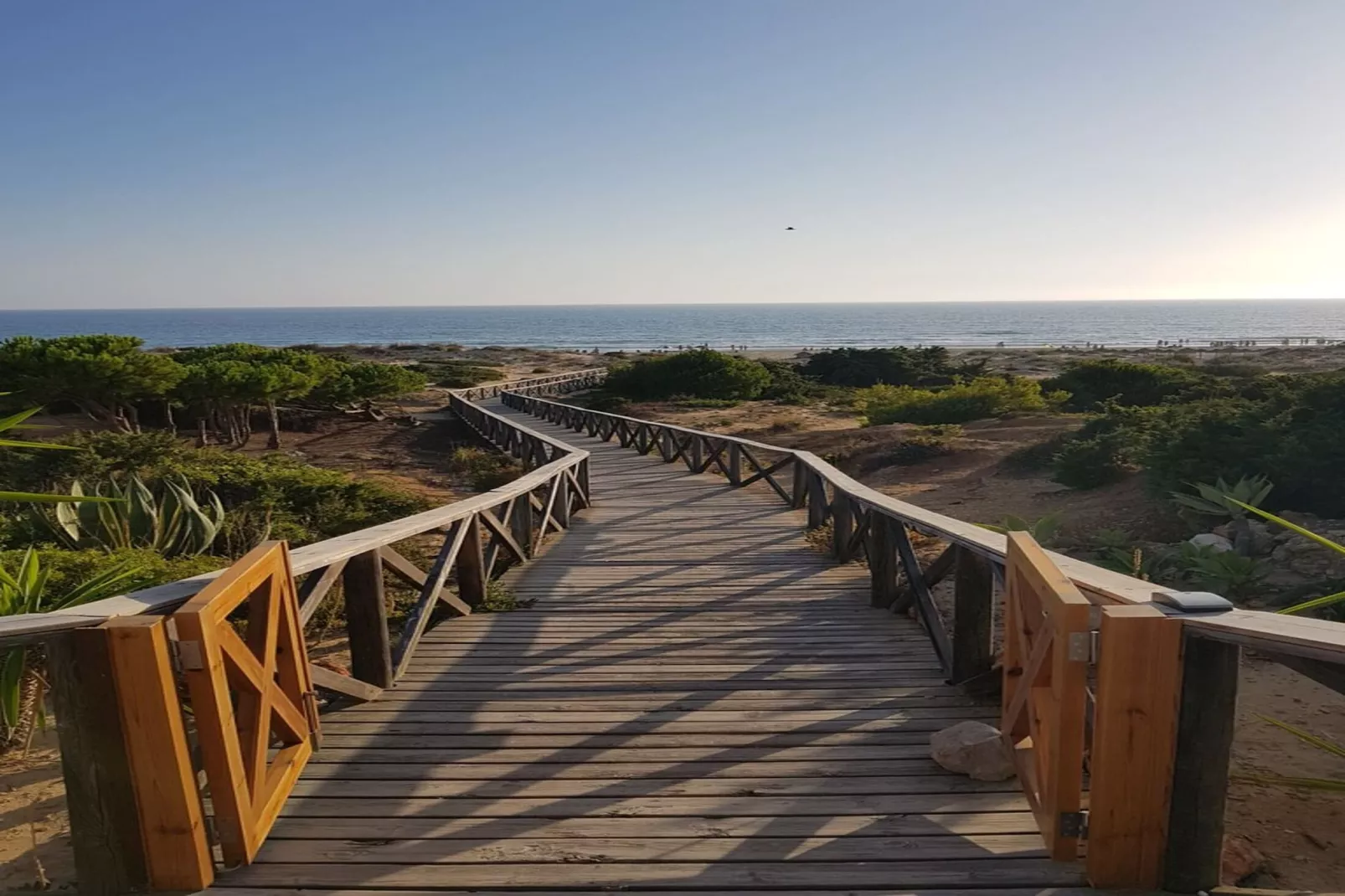 4976- +34636021638-Areas within 20km in summer