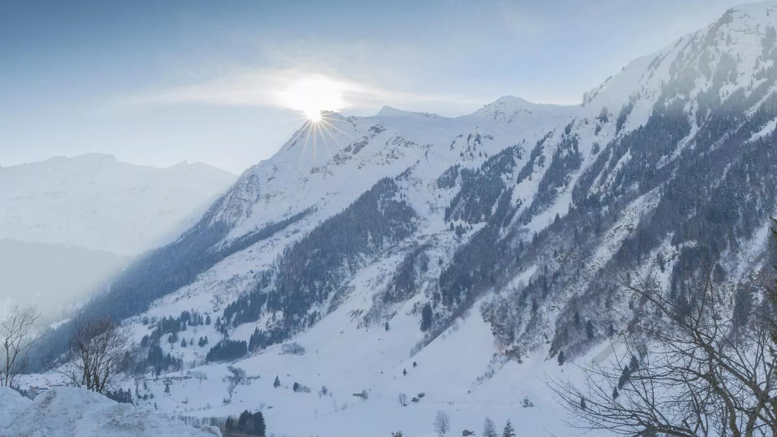 Goldhänchen-Gebiet Winter 20 km