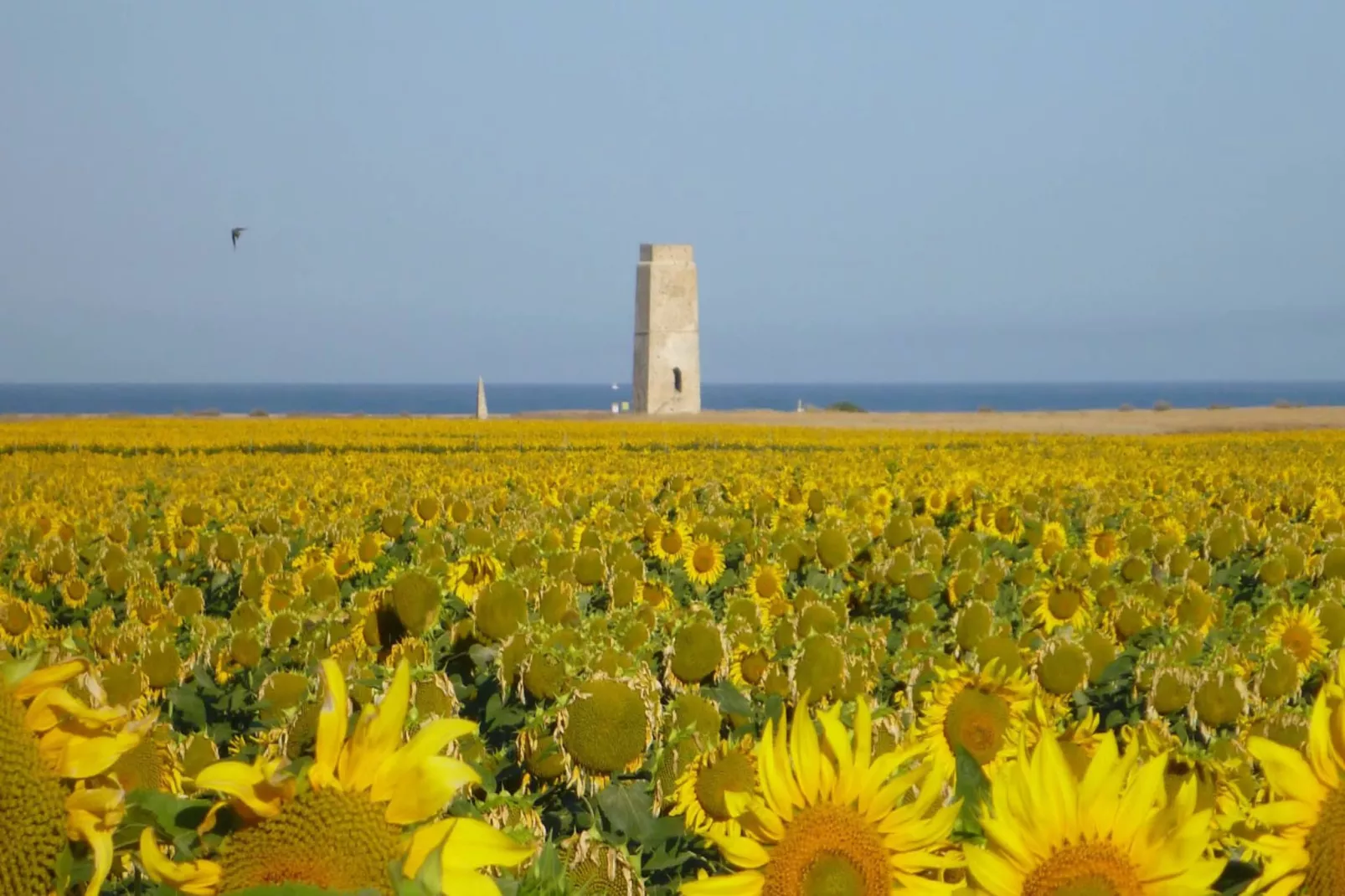 1763-+34630212745-Gebiete Sommer 5 km