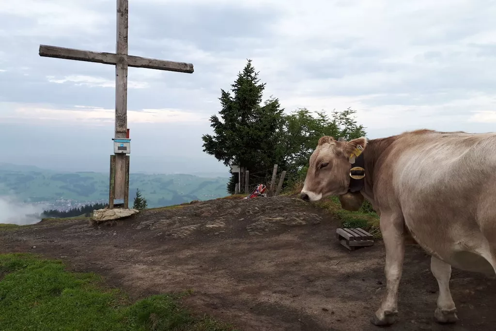 51893-Nicht zugeordnet