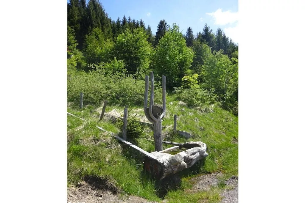 51893-Nicht zugeordnet