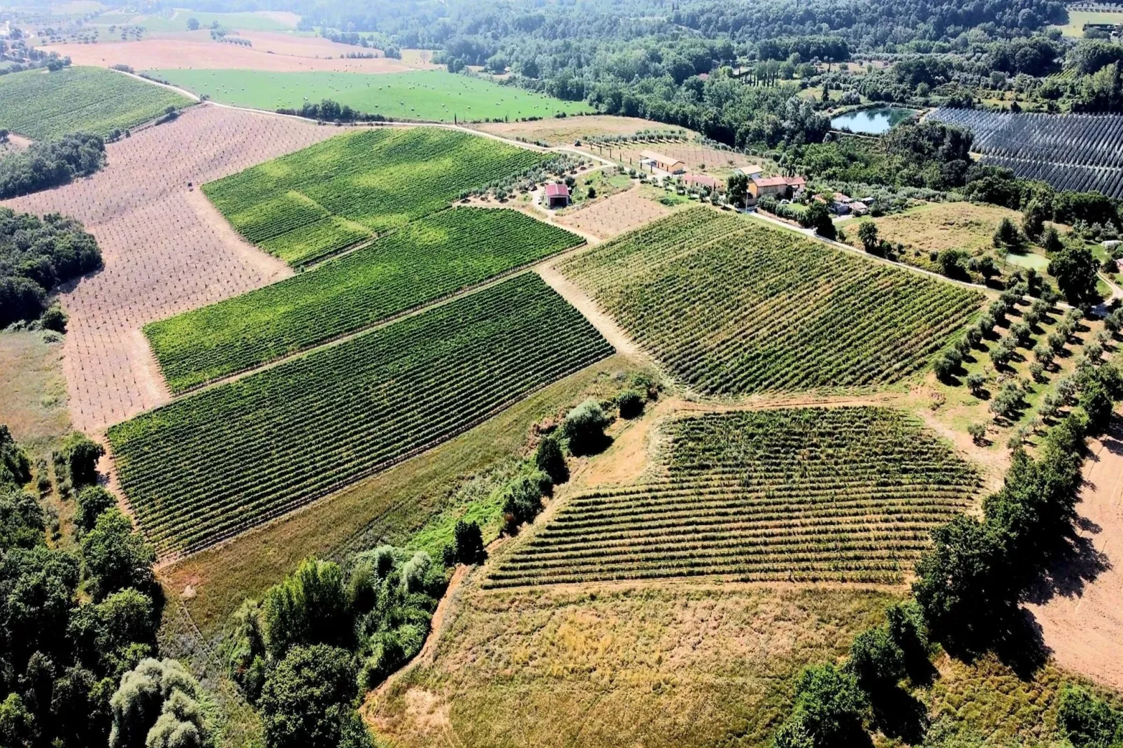 Scirocco-Gebiete Sommer 1 km