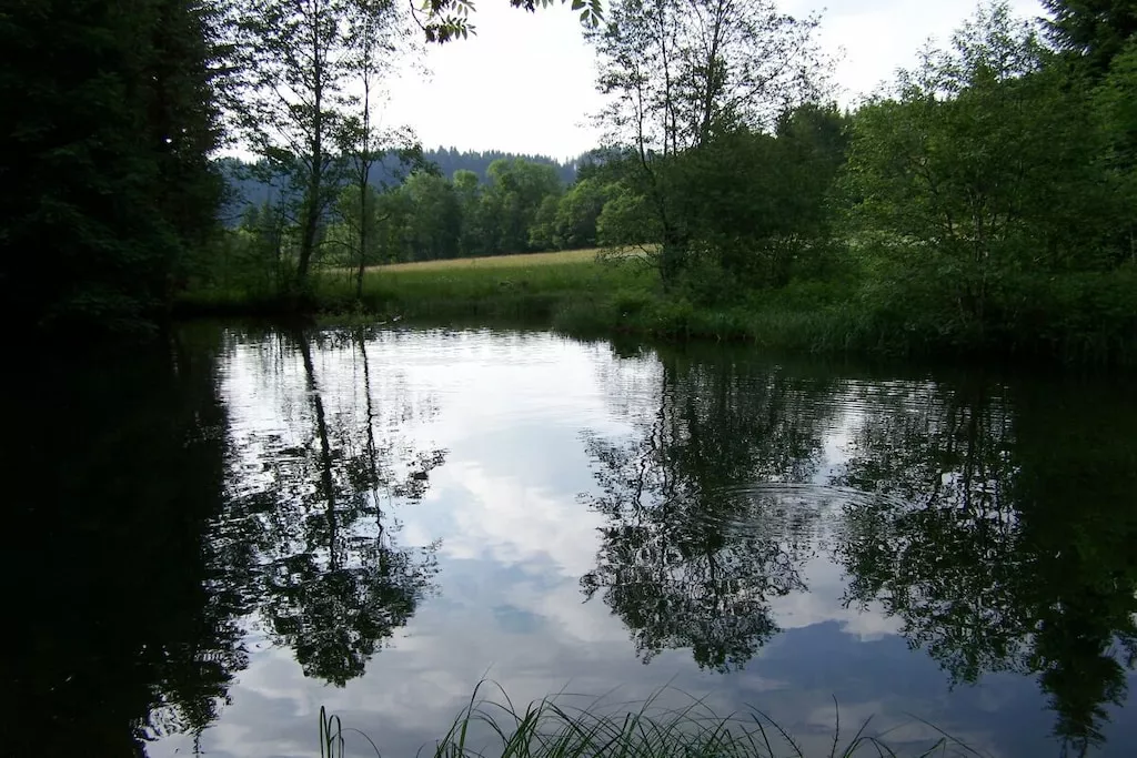 51893-Nicht zugeordnet