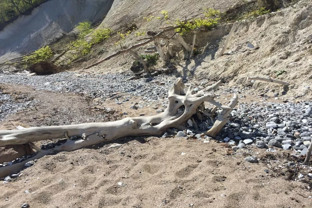 265542-Nicht zugeordnet