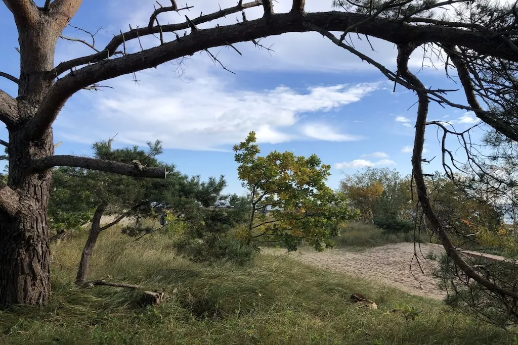 265542-Nicht zugeordnet