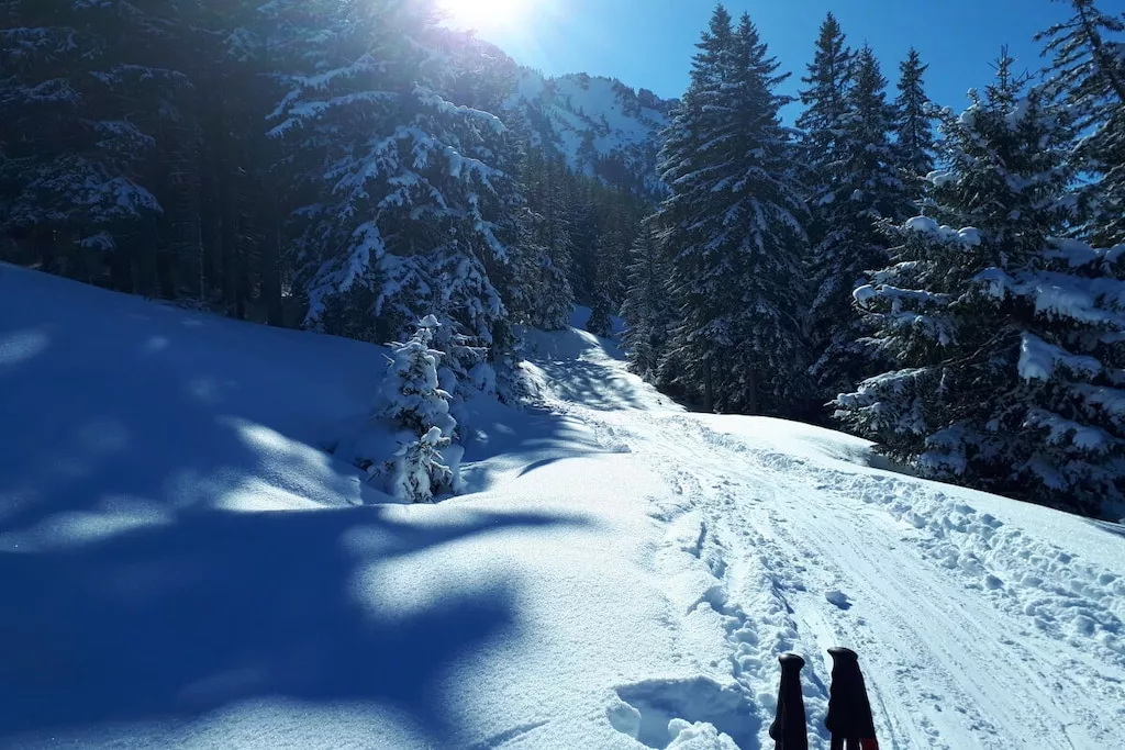 51893-Nicht zugeordnet