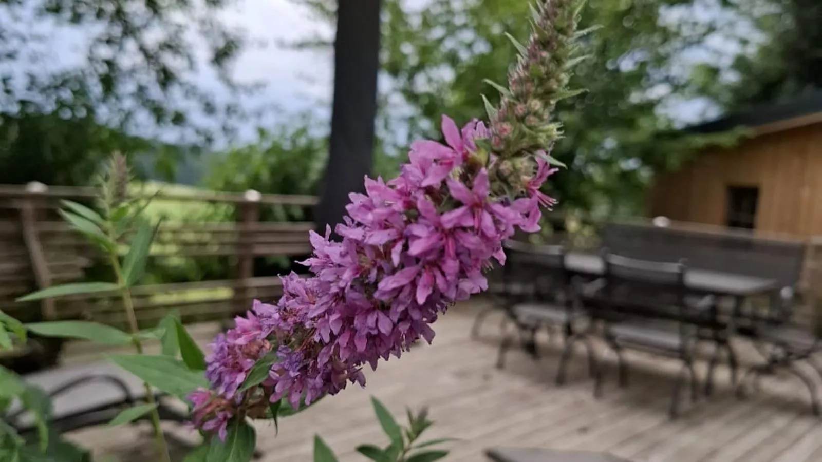 Bernhardsberg-Terrasse/Balkon
