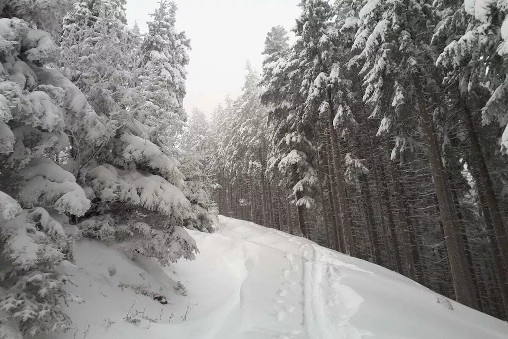 51893-Nicht zugeordnet