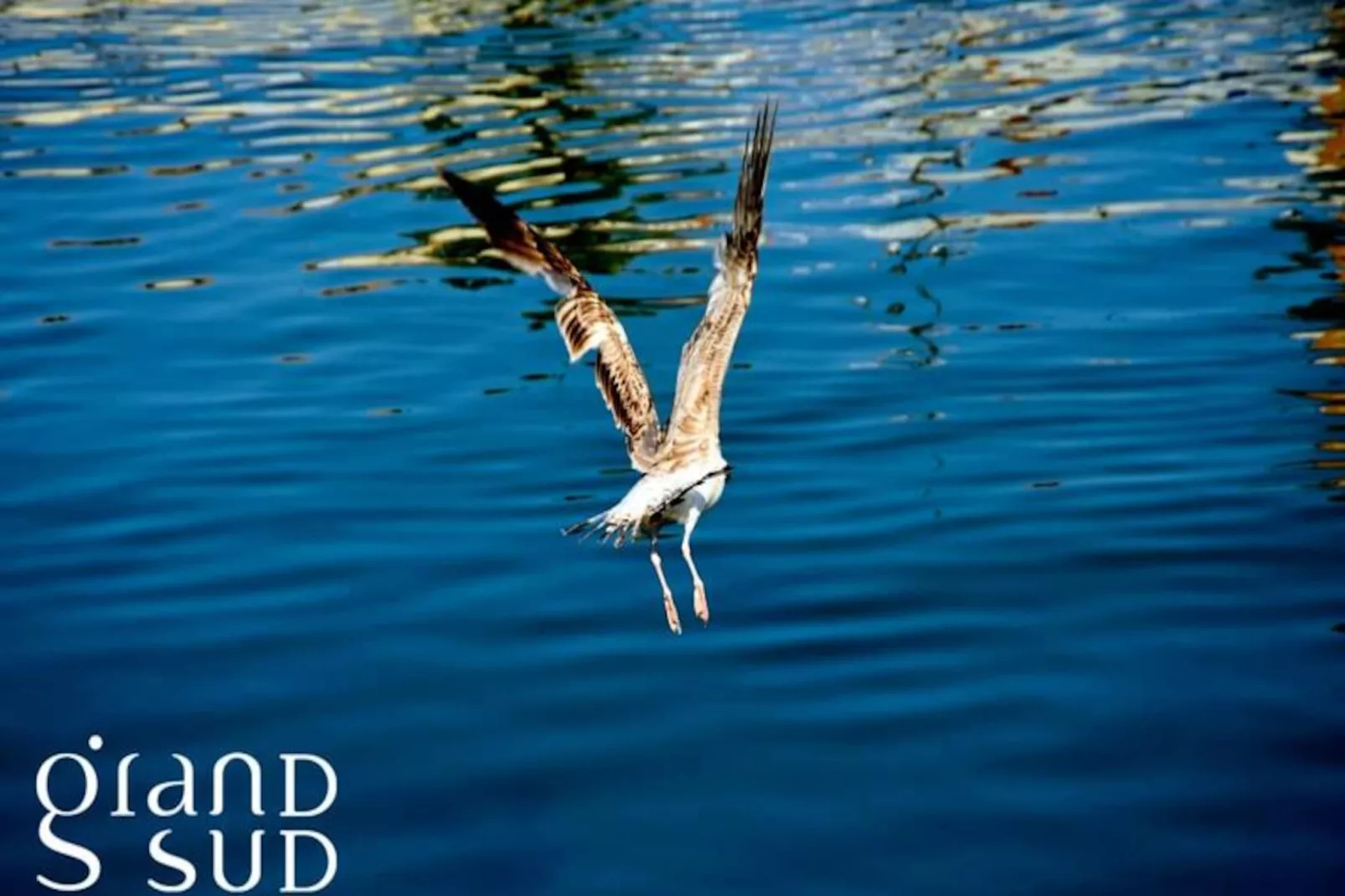 Résidence Appartement Camargue Village &agrave; Deux Pas De La Plage Du Boucanet-Nicht zugeordnet