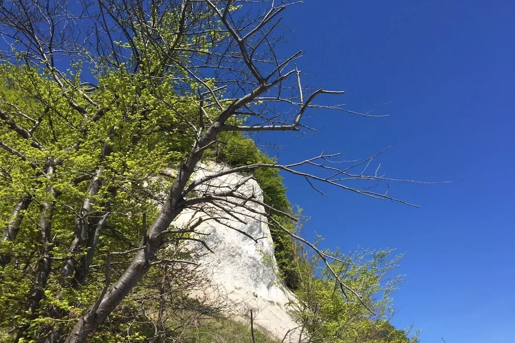 265542-Nicht zugeordnet