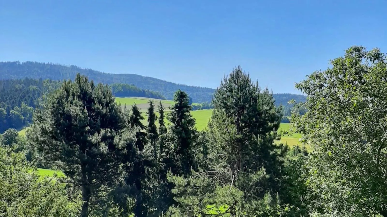 Bernhardsberg-Aussicht Sommer