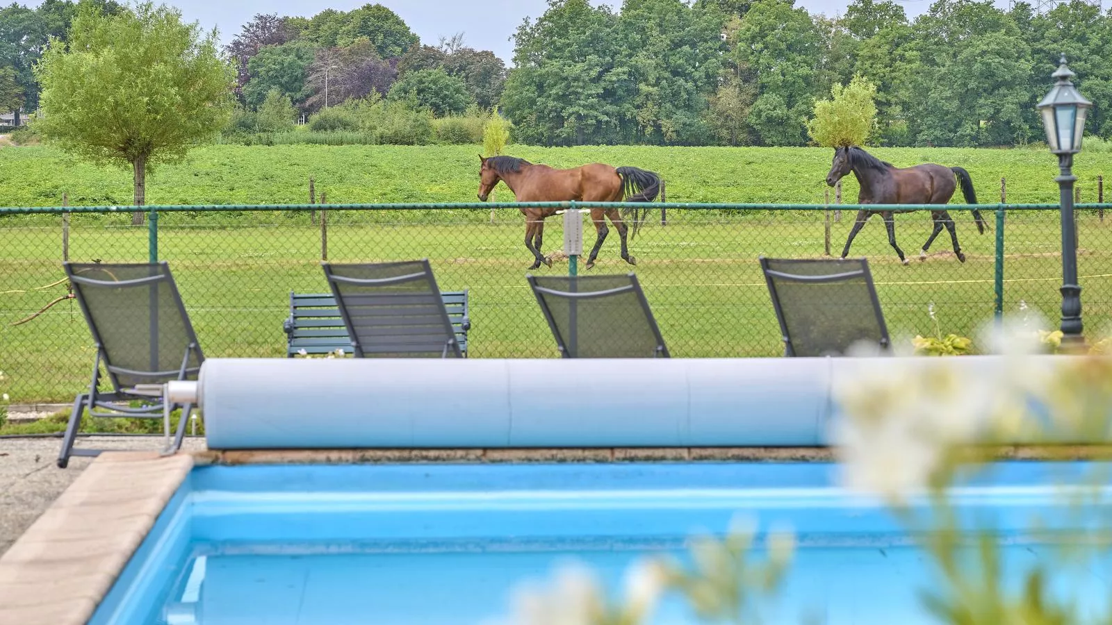 De Vrije Vogel-Piscine
