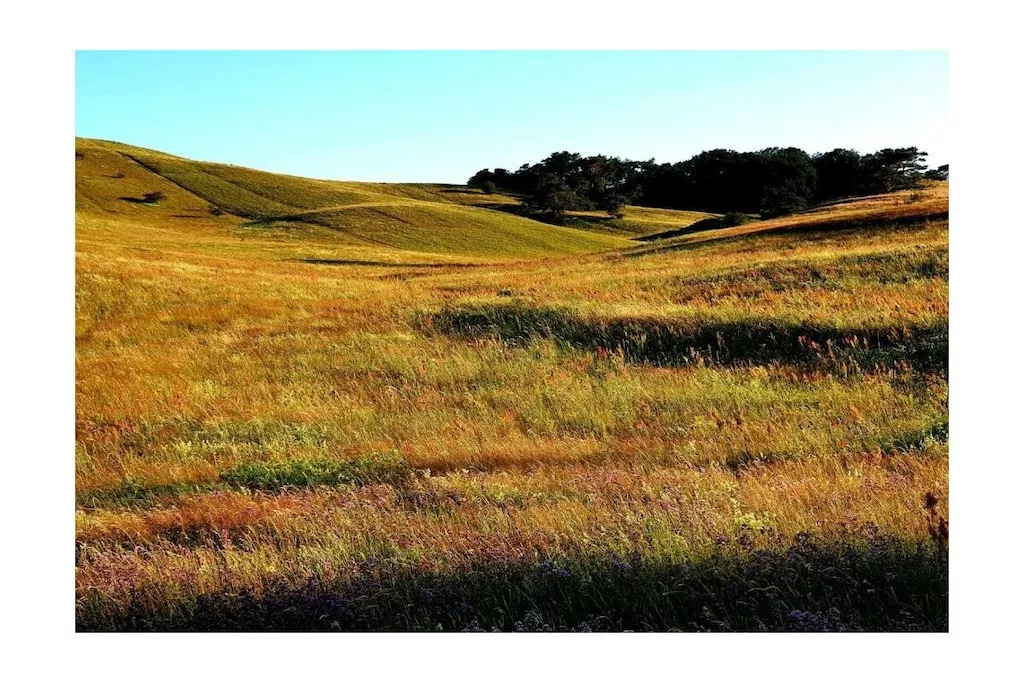 378839-Nicht zugeordnet