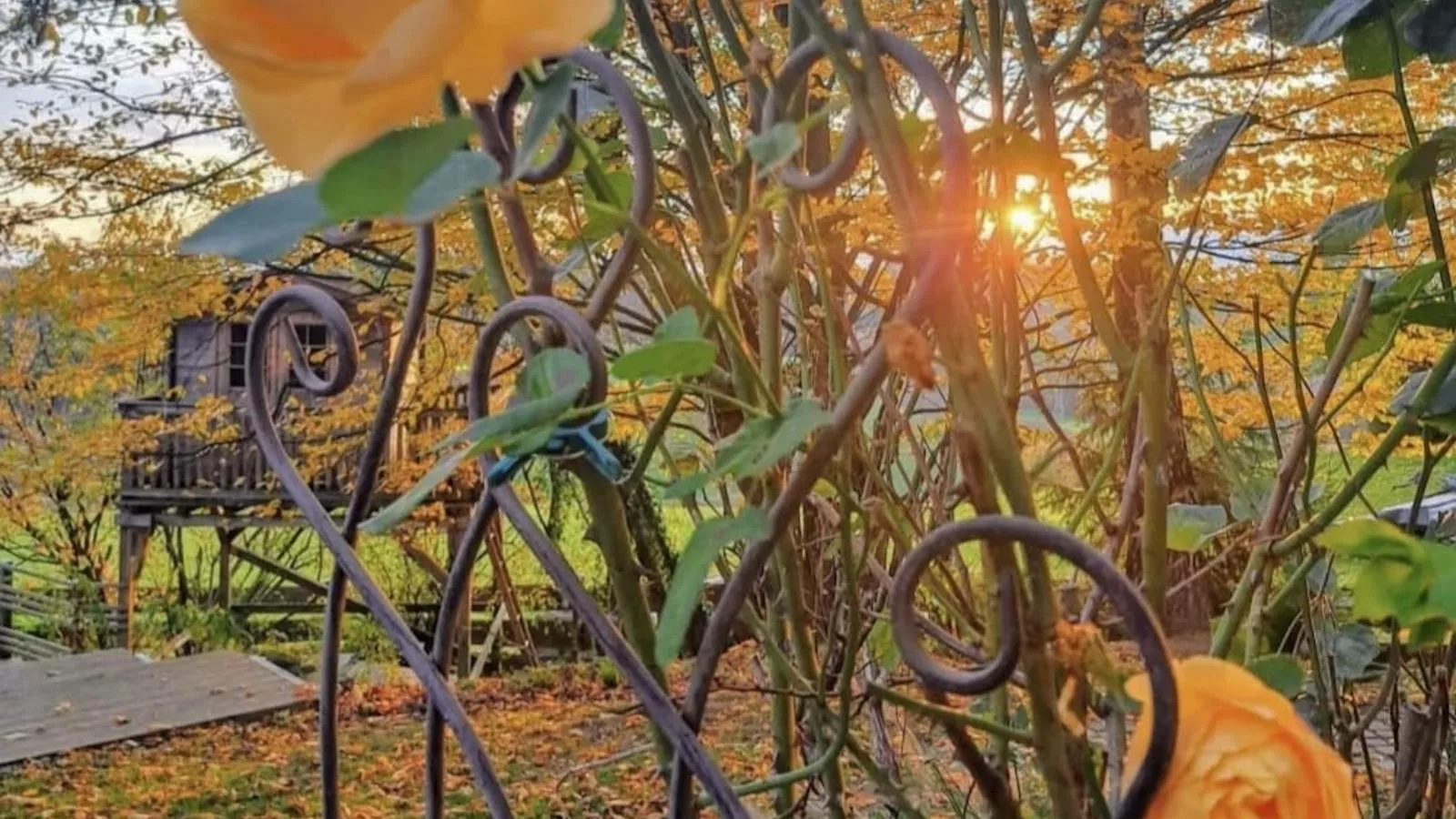 Bernhardsberg-Garten Sommer