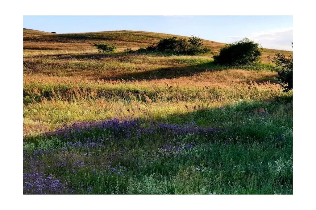 378839-Nicht zugeordnet