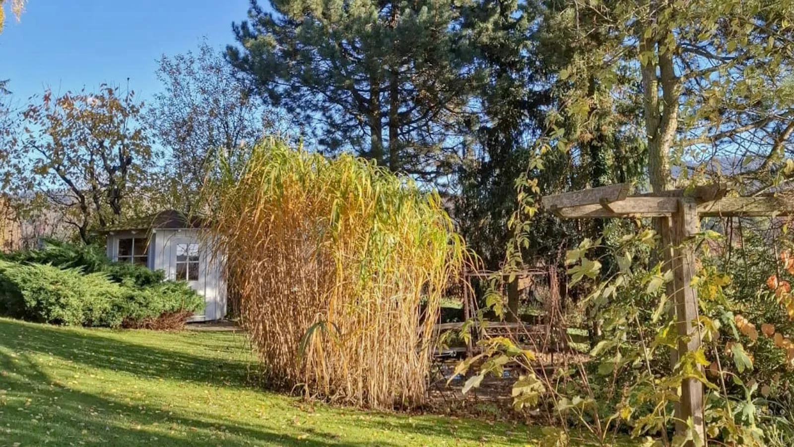 Bernhardsberg-Garten Sommer