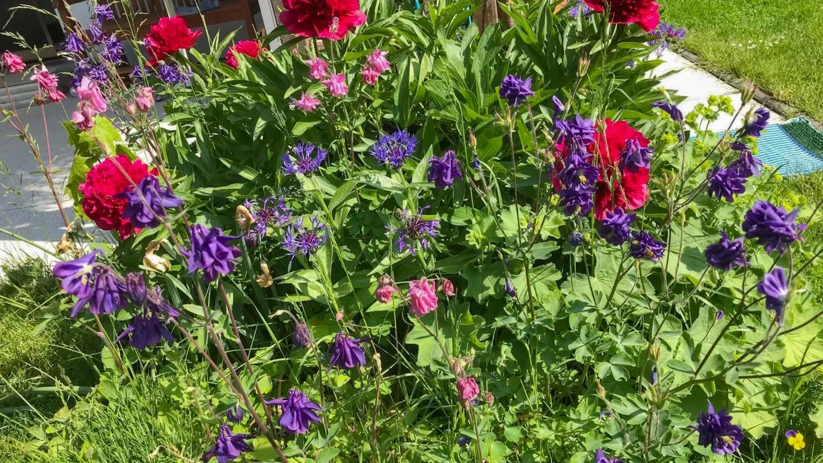 Böhmerwaldnest-Jardins en été