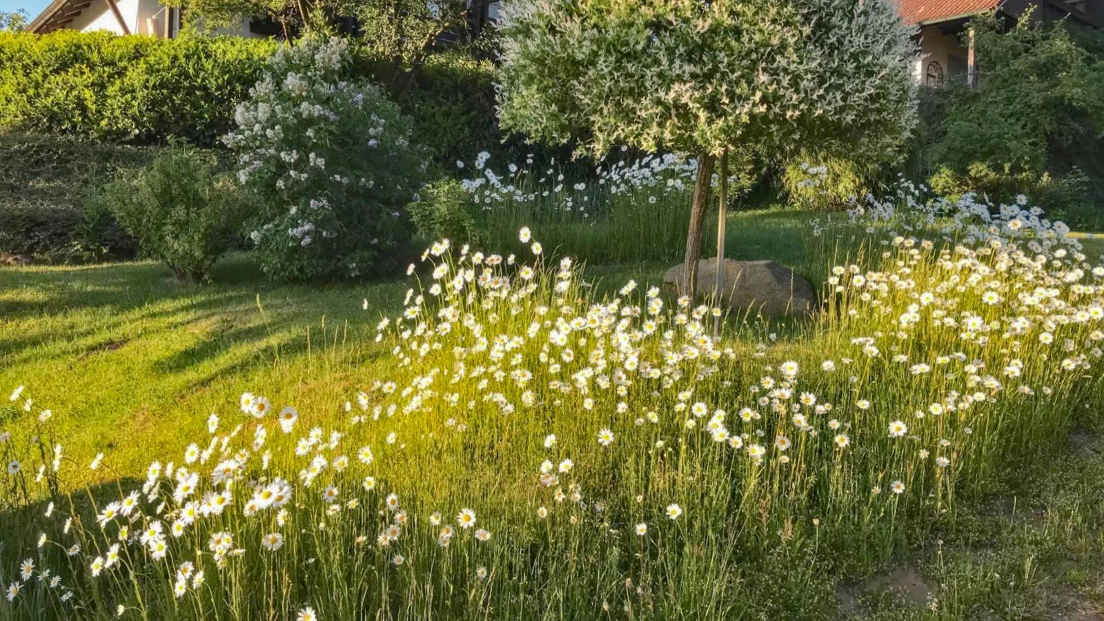 Böhmerwaldnest-Jardins en été