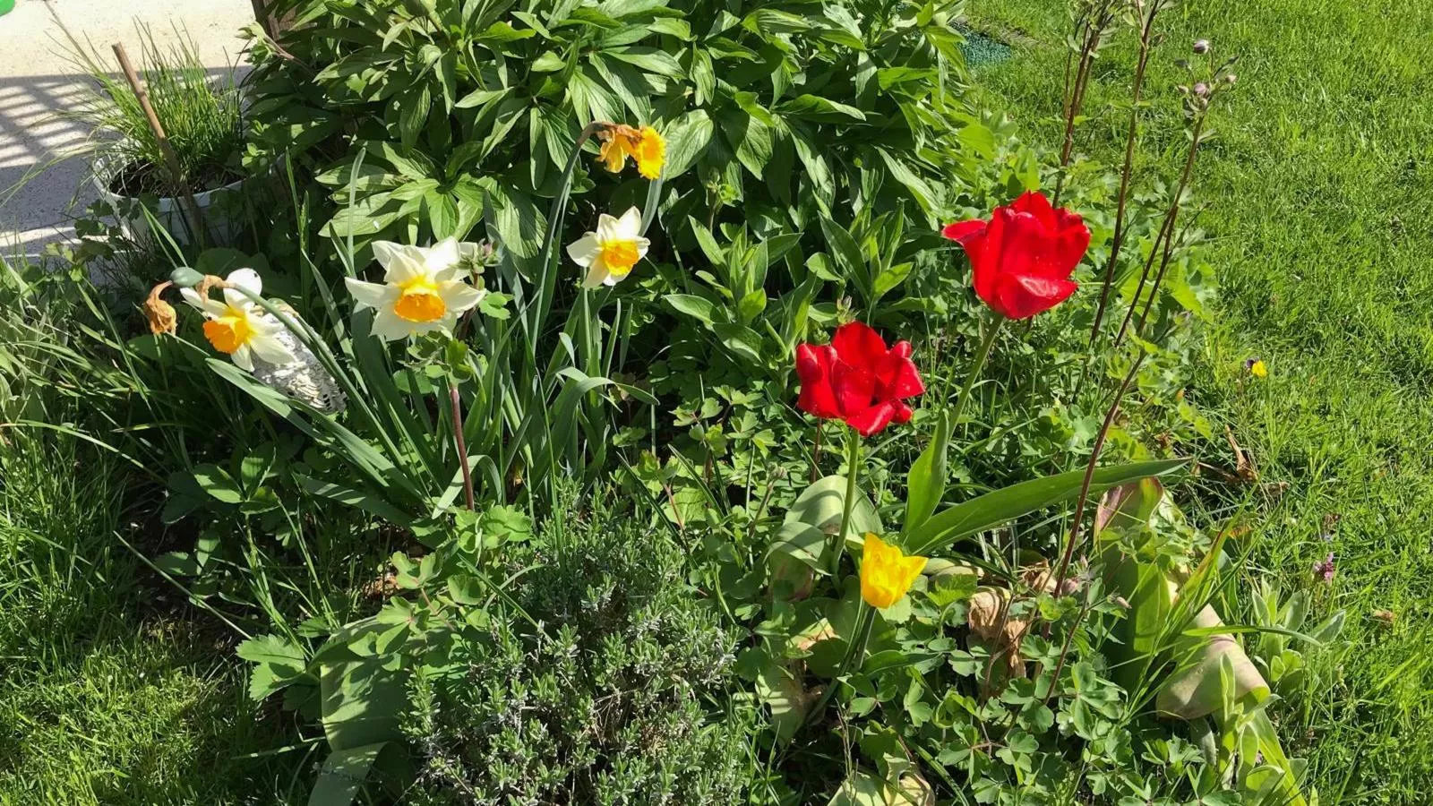 Böhmerwaldnest-Ambiance