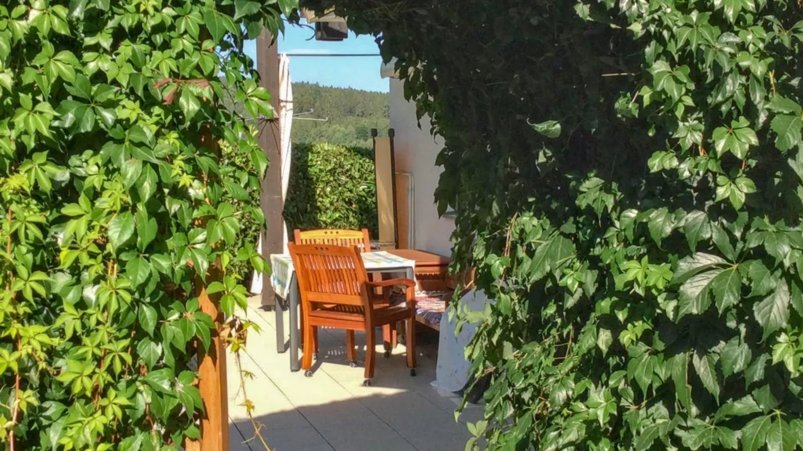 Böhmerwaldnest-Terrasse / balcon