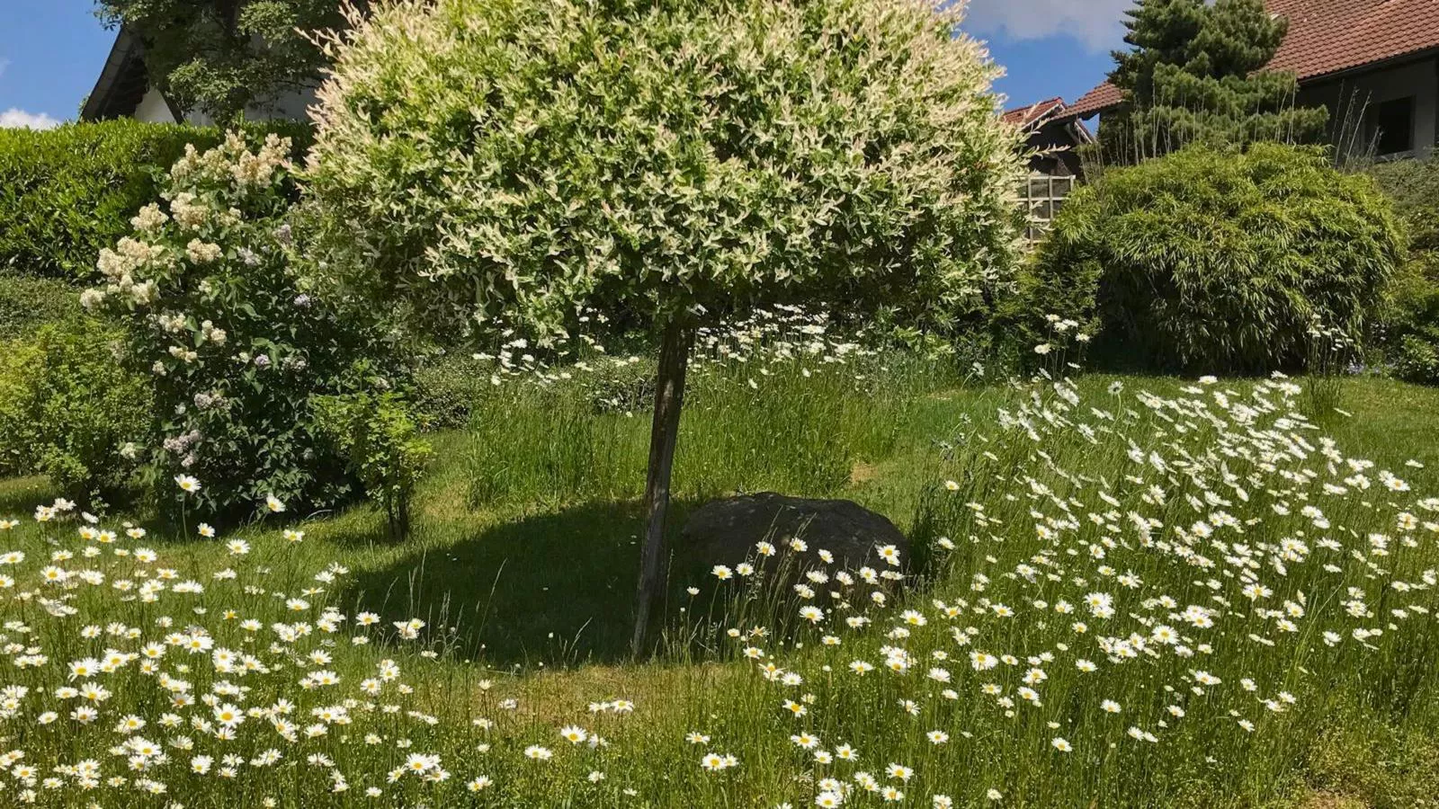 Böhmerwaldnest-Jardins en été