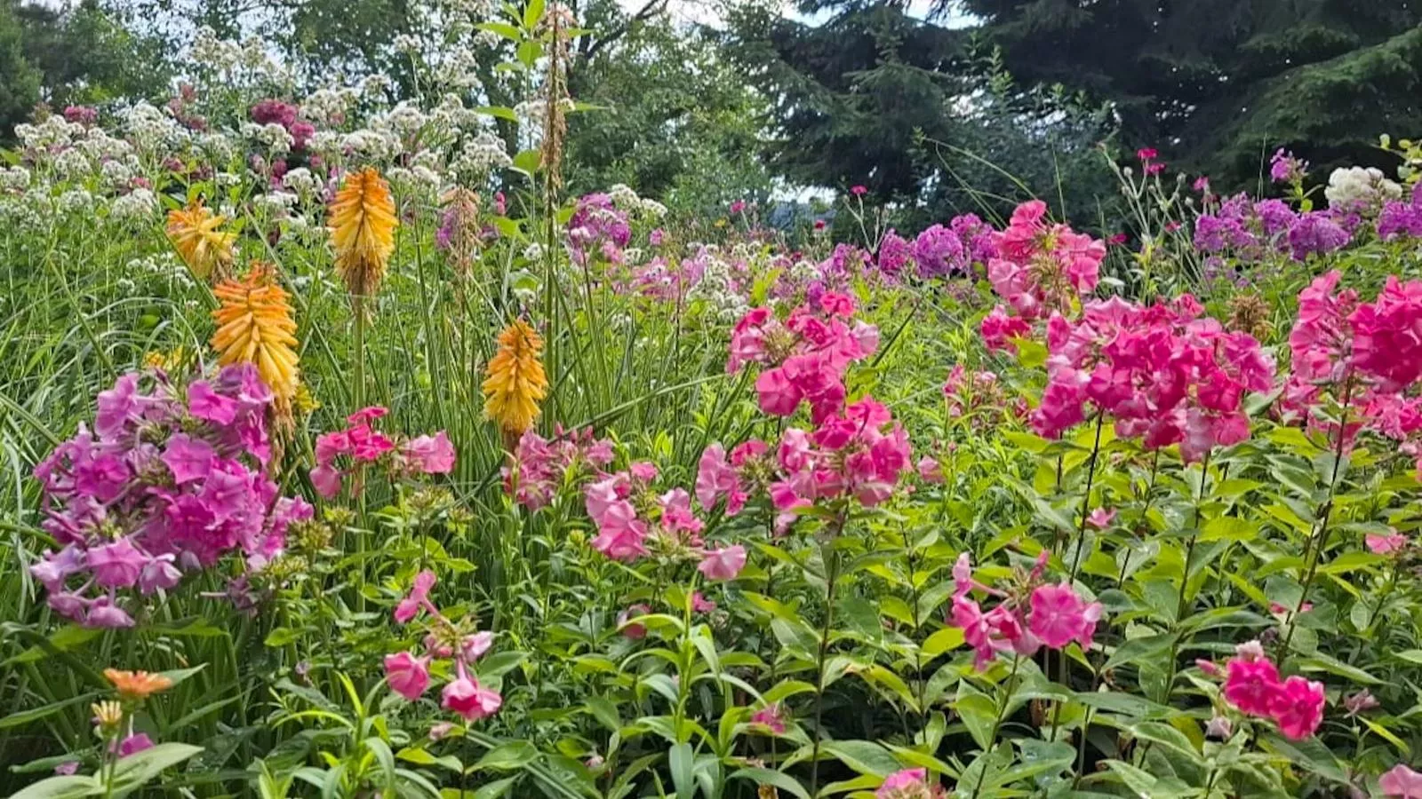 Bernhardsberg-Garten Sommer