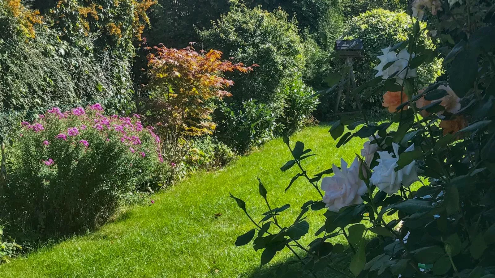 Böhmerwaldnest-Jardins en été