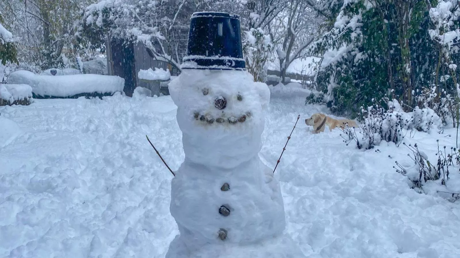 Bernhardsberg-Garten Winter