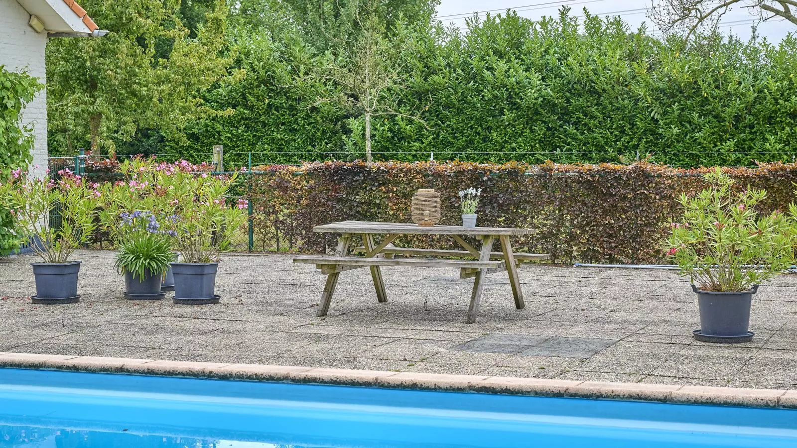 De Vrije Vogel-Piscine