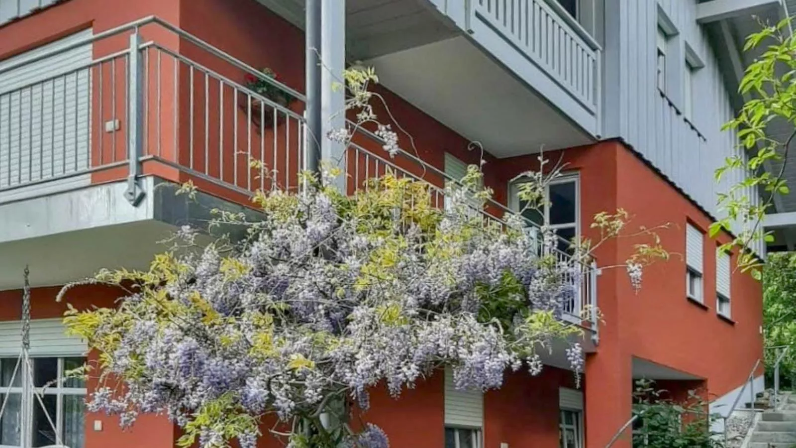 Bernhardsberg-Außenbereich Sommer