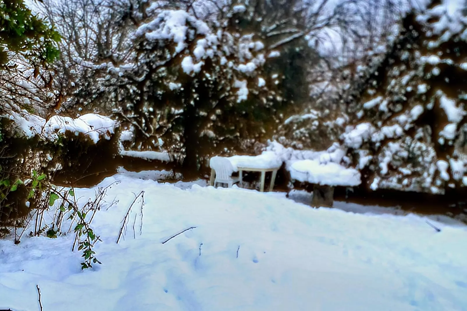 Petite Plaisance-Area winter 1km