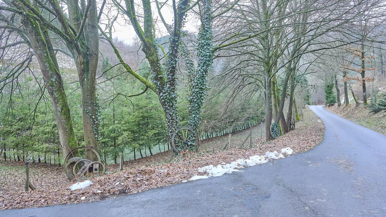 Am Damwildgehege II-Gebiete Sommer 1 km