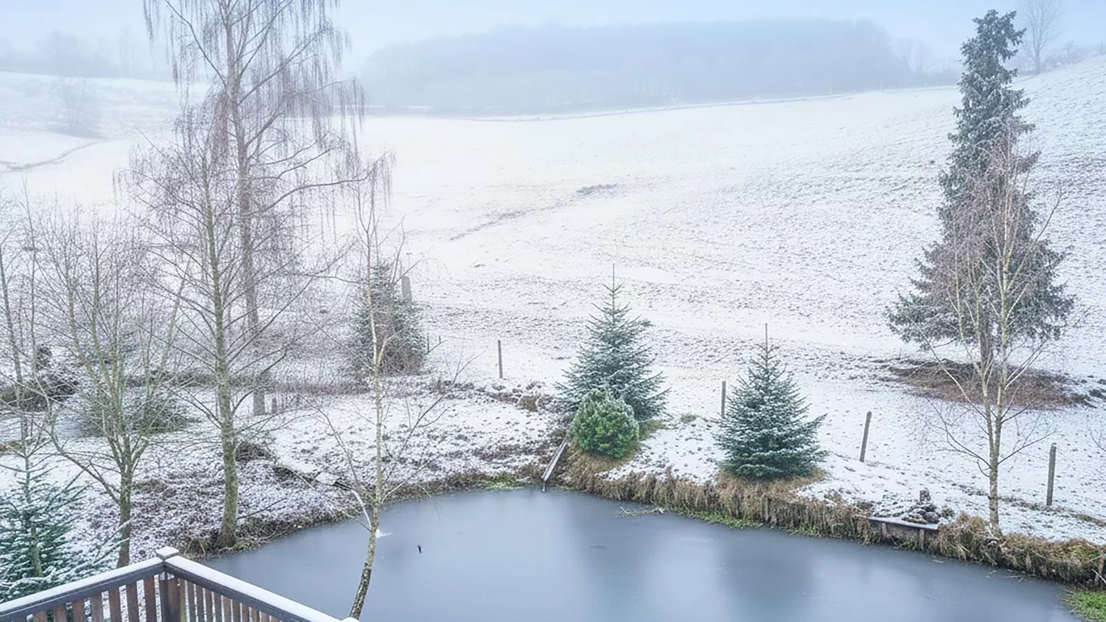 Am Damwildgehege II-Aussicht Winter
