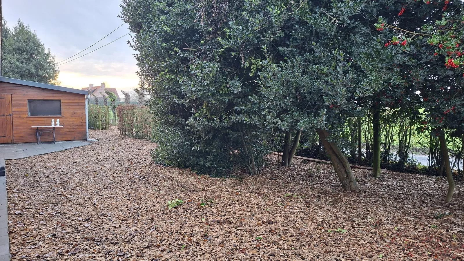 ZweveZalig-Jardin en hiver