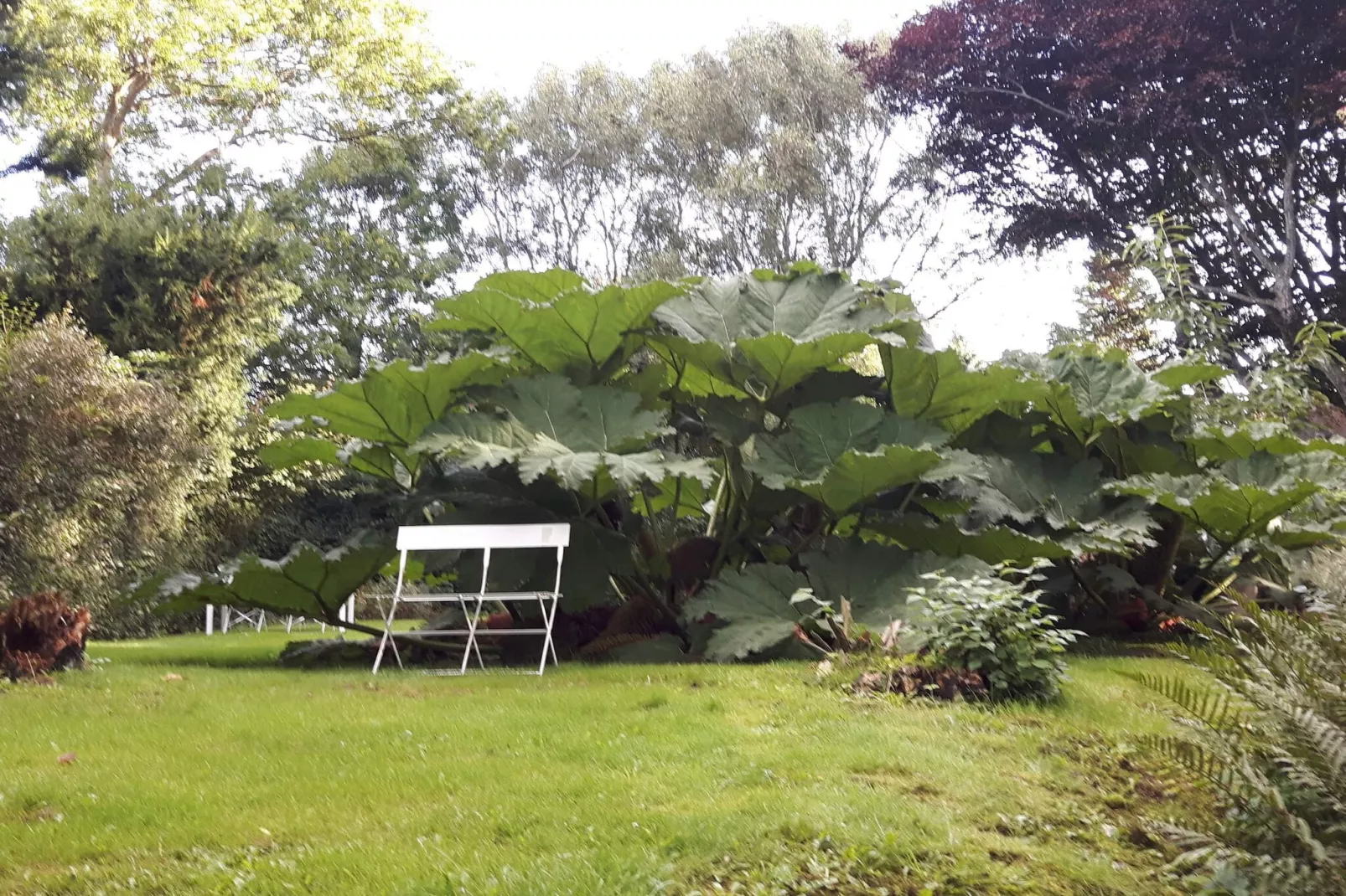 4 person holiday home in Hurup Thy-By Traum-Untagged