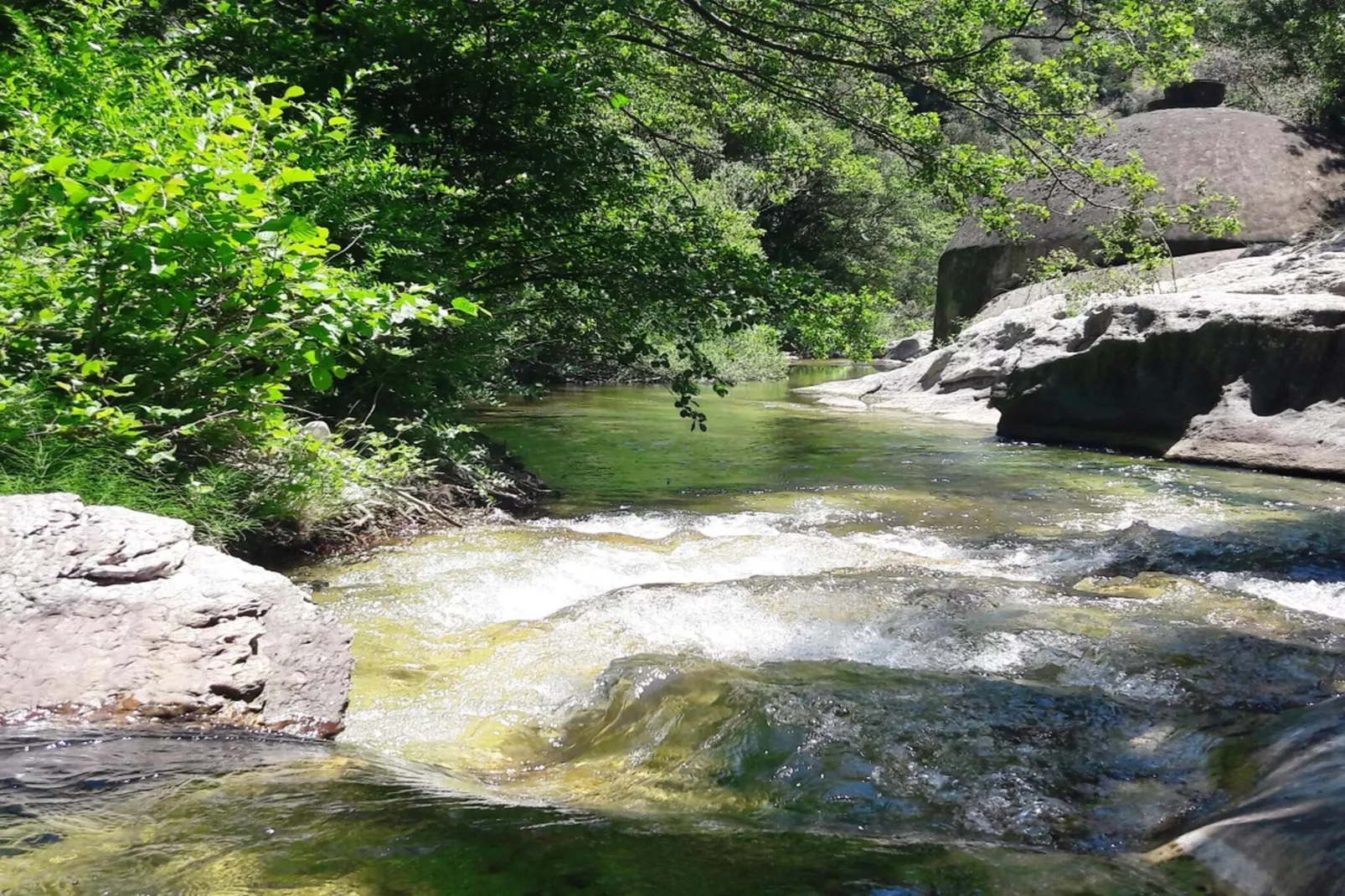 Bamboo-Zones été à 5 km