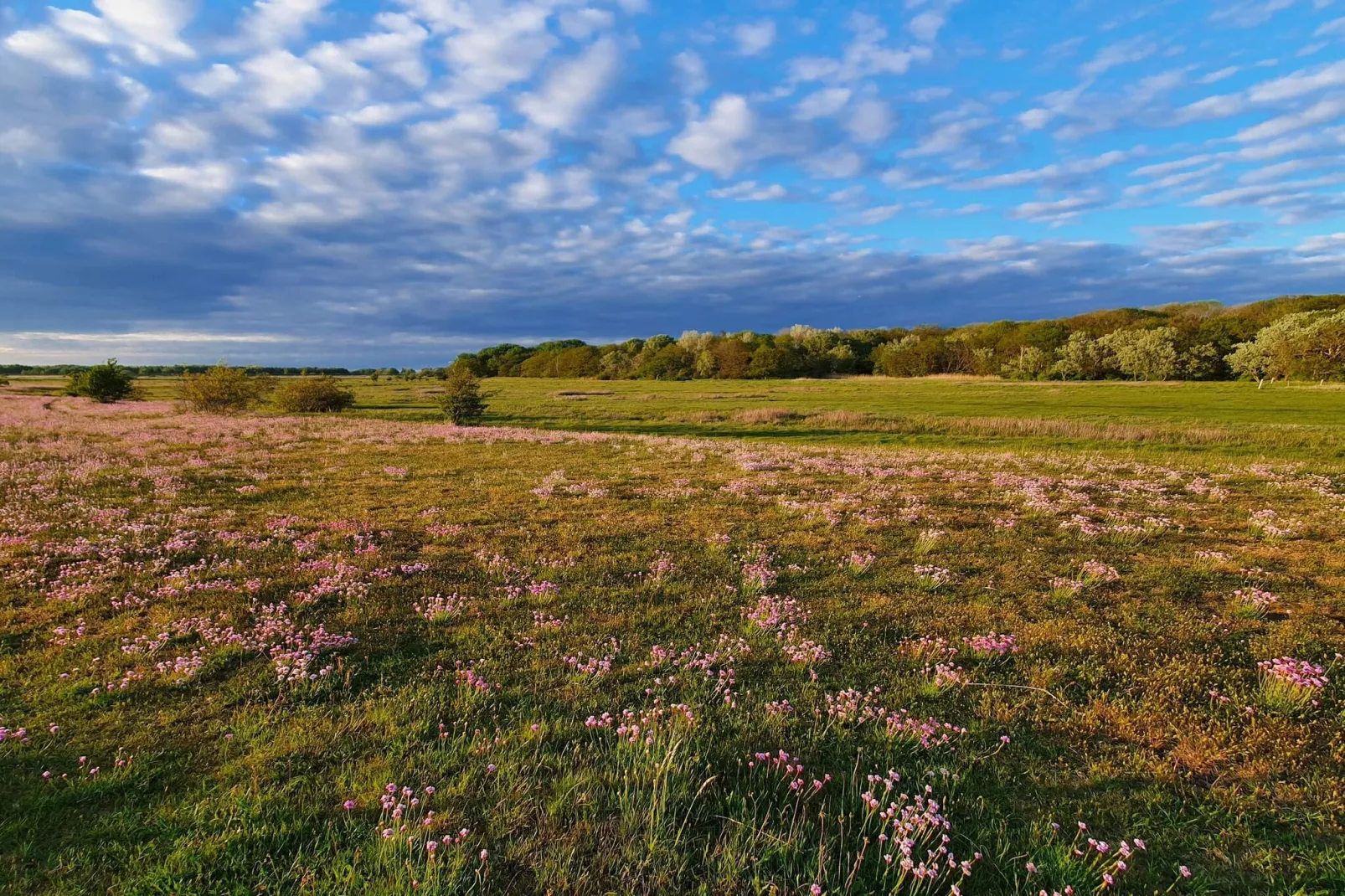 10 person holiday home in Dragør-By Traum - Untagged