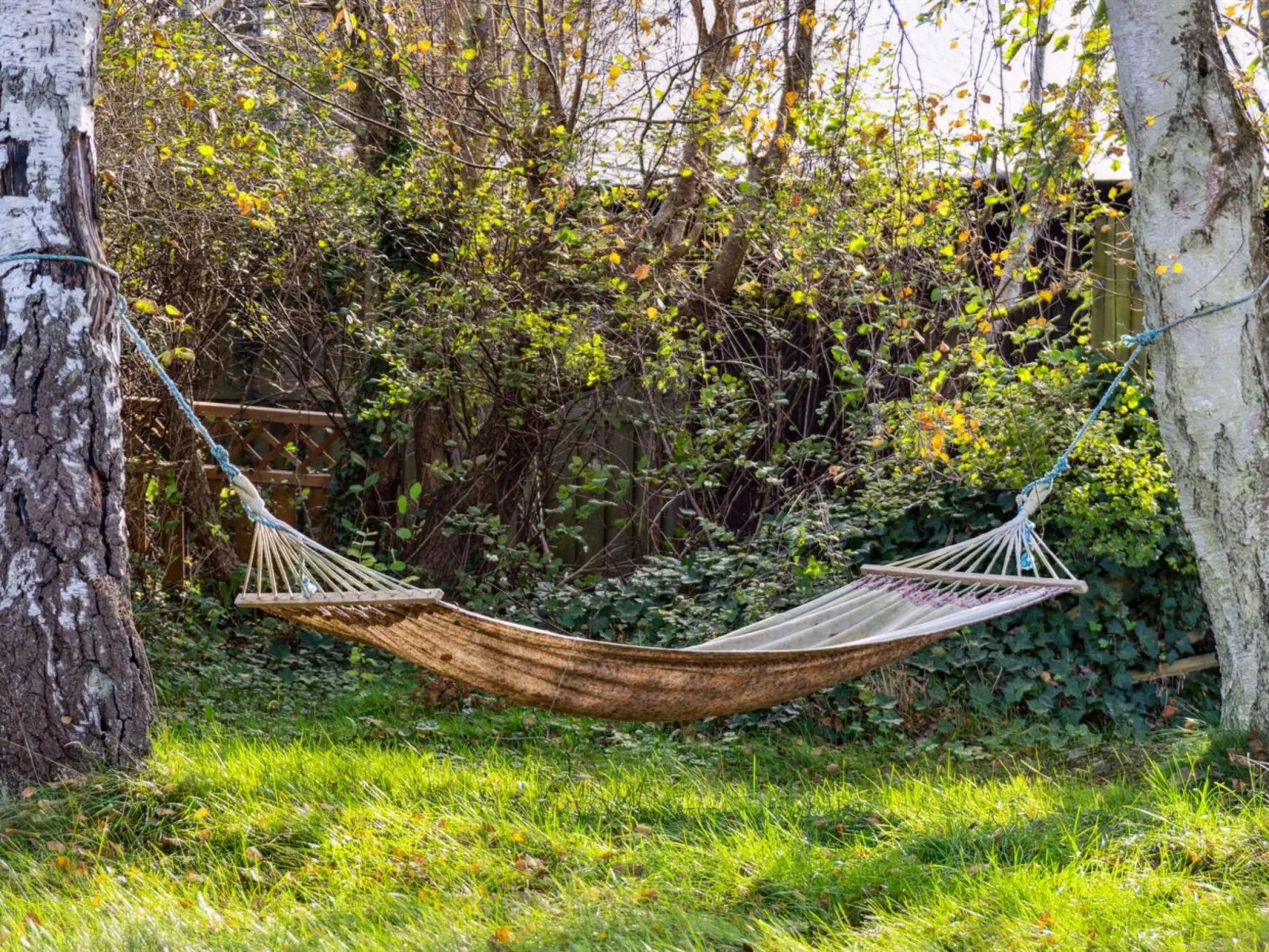 "Edgar" - 300m from the sea