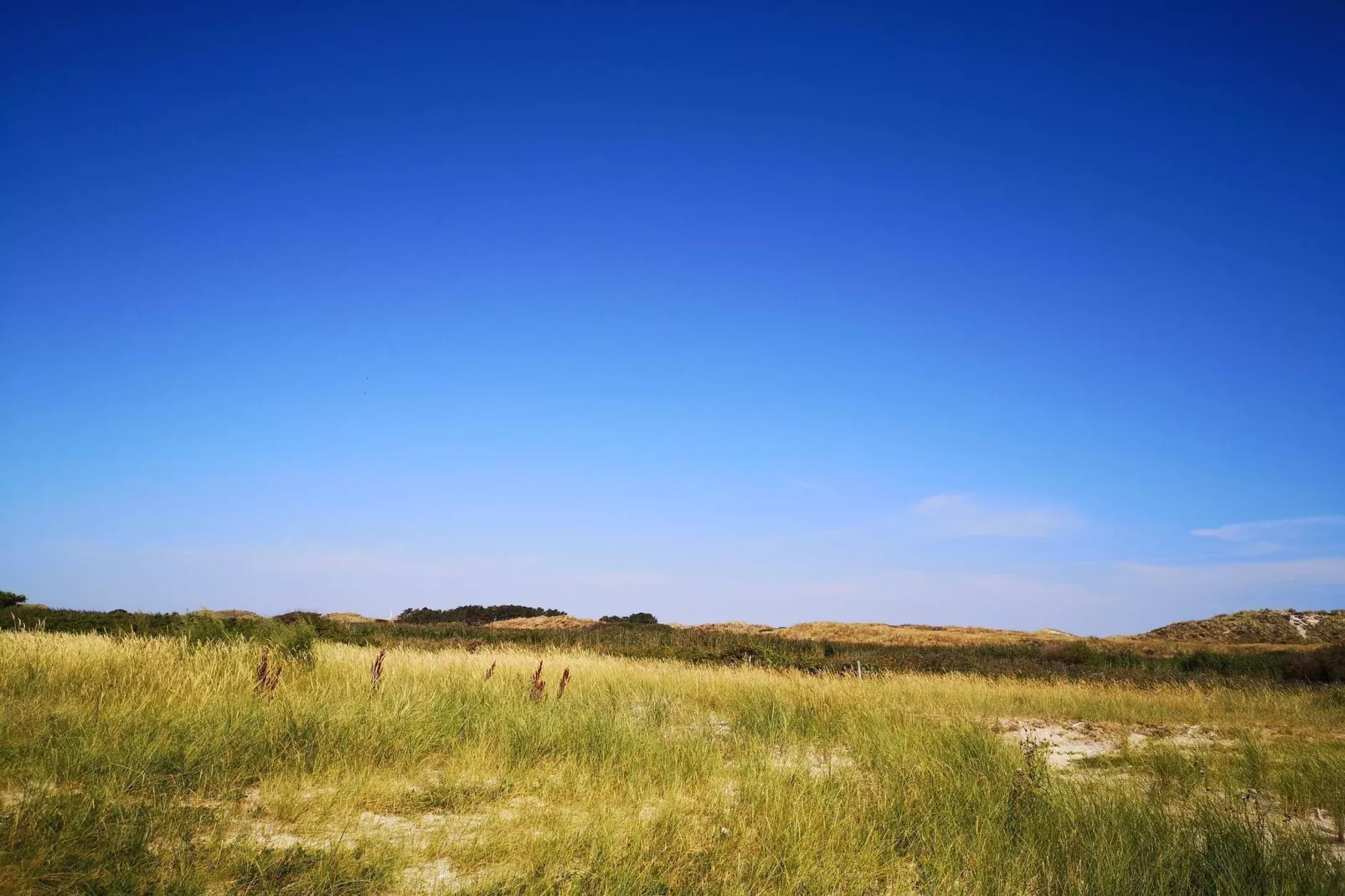 7 person holiday home in Fanø-By Traum-Untagged
