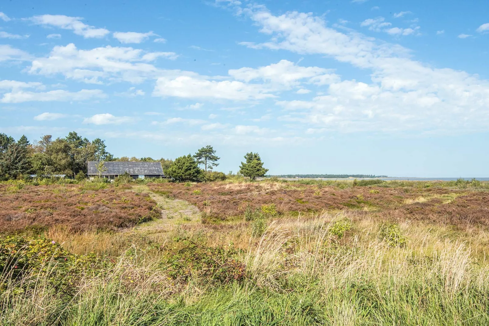 4 Personen Ferienhaus in Rømø-Nicht zugeordnet