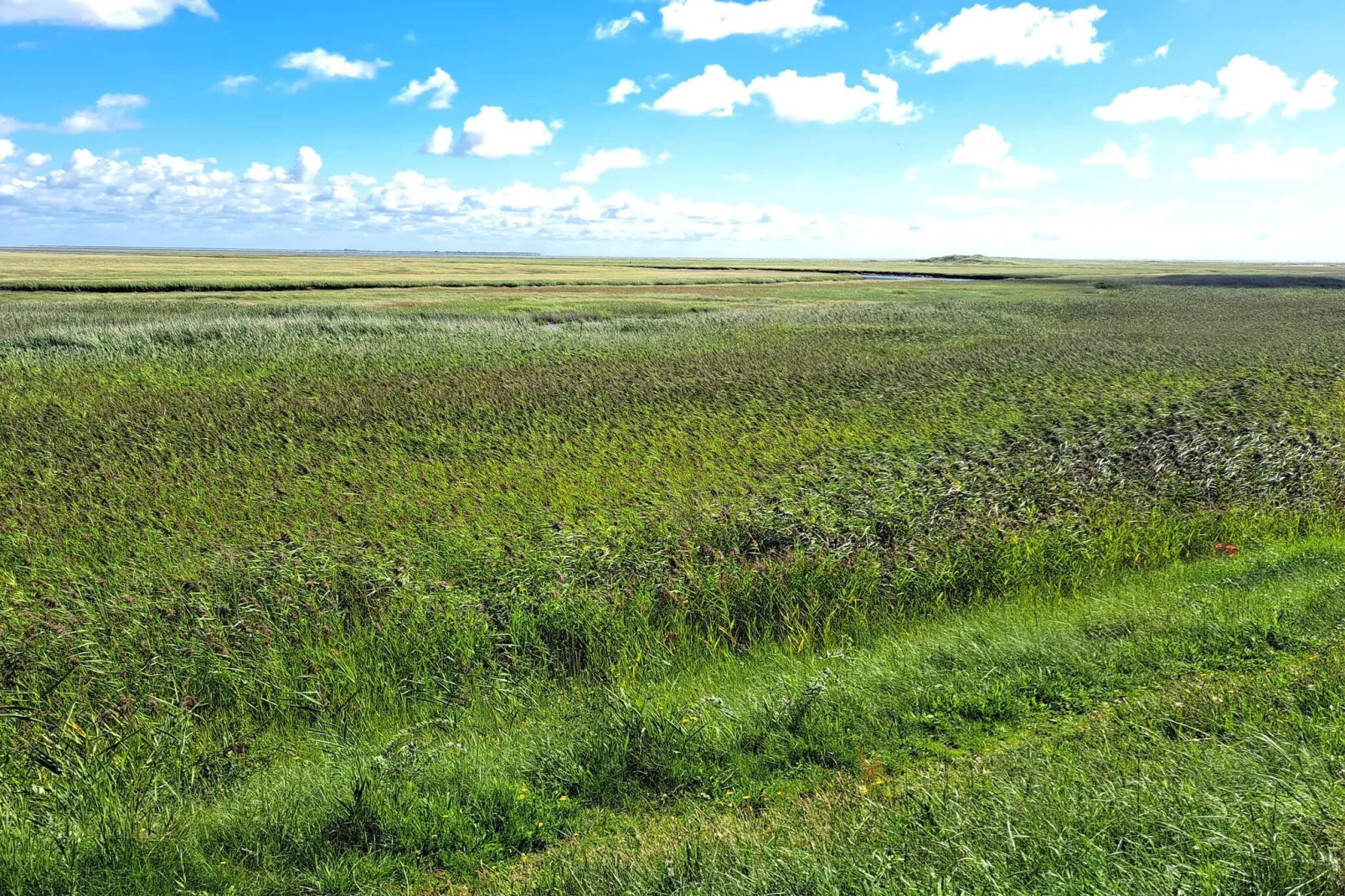 7 person holiday home in Fanø-By Traum-Untagged