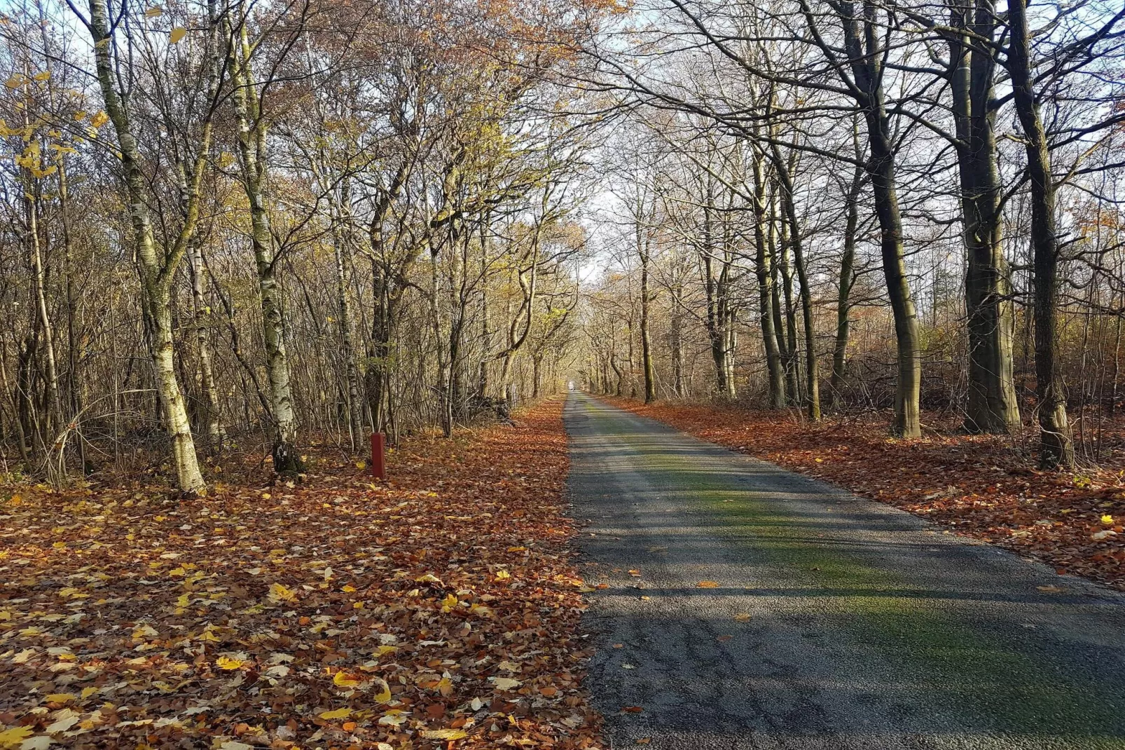 Maison de vacances pour 4 a Toftlund-By Traum-Non tagué