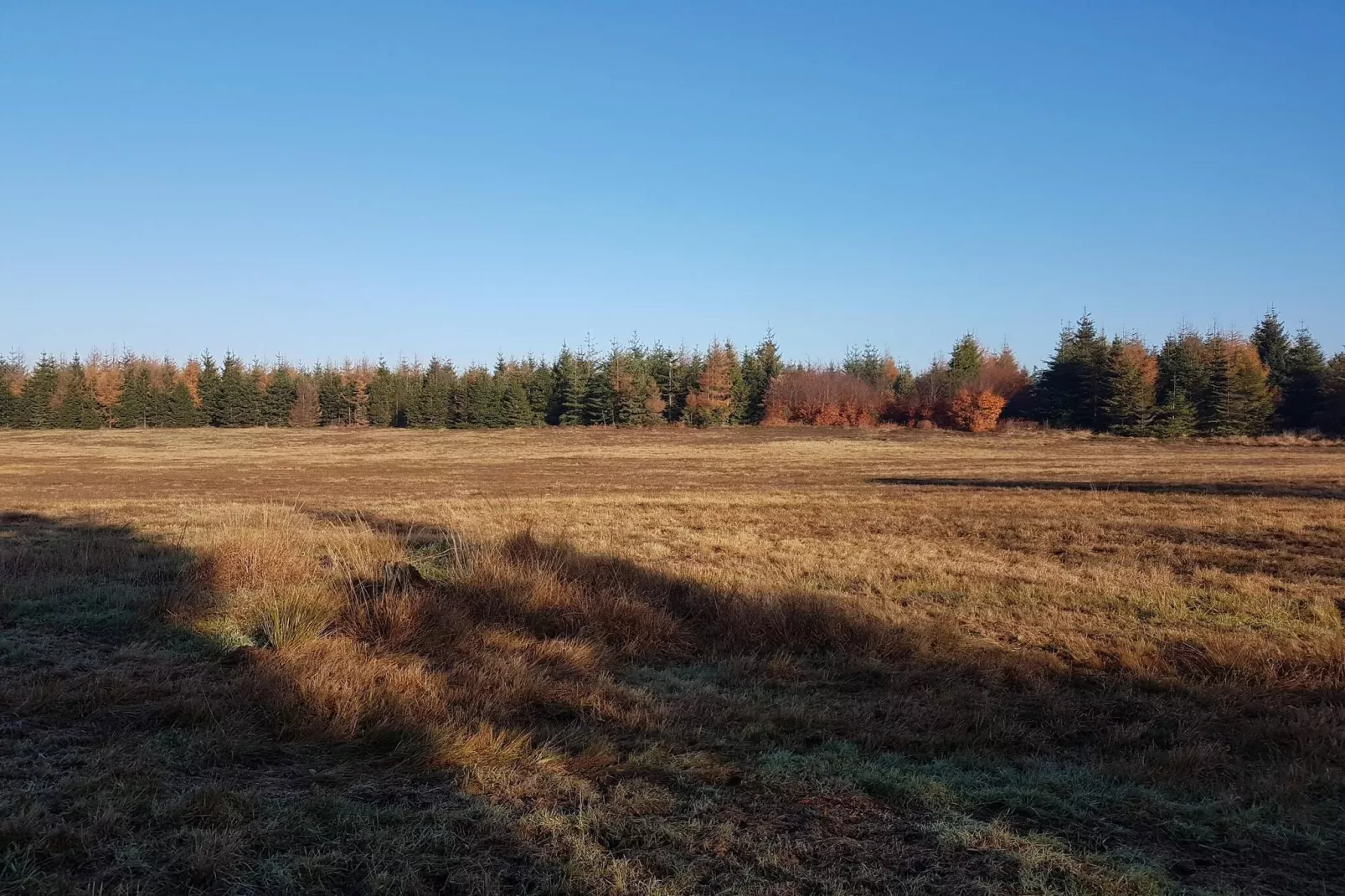 Maison de vacances pour 4 a Toftlund-By Traum-Non tagué