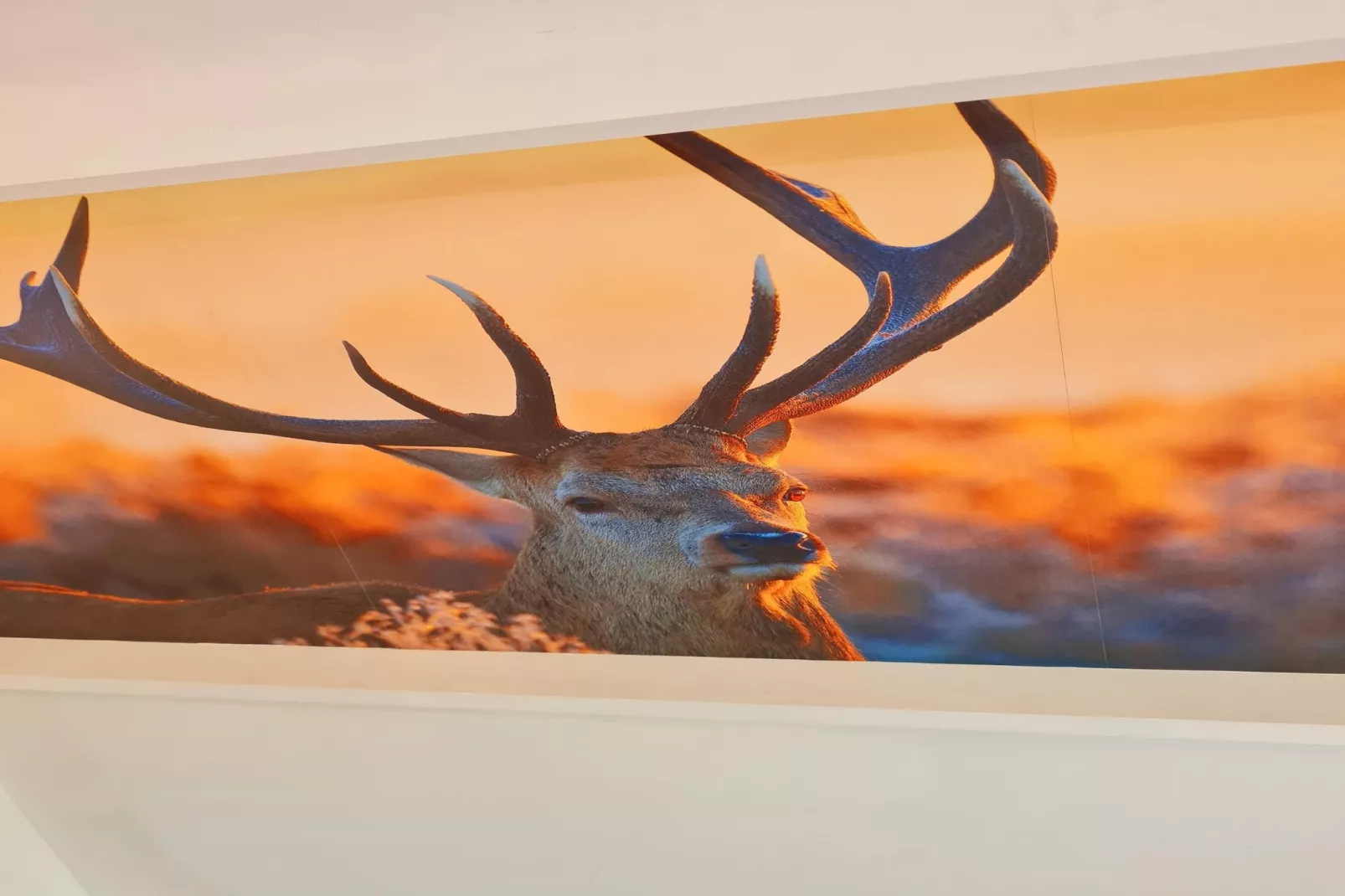 Chalet no 13-Ambiente