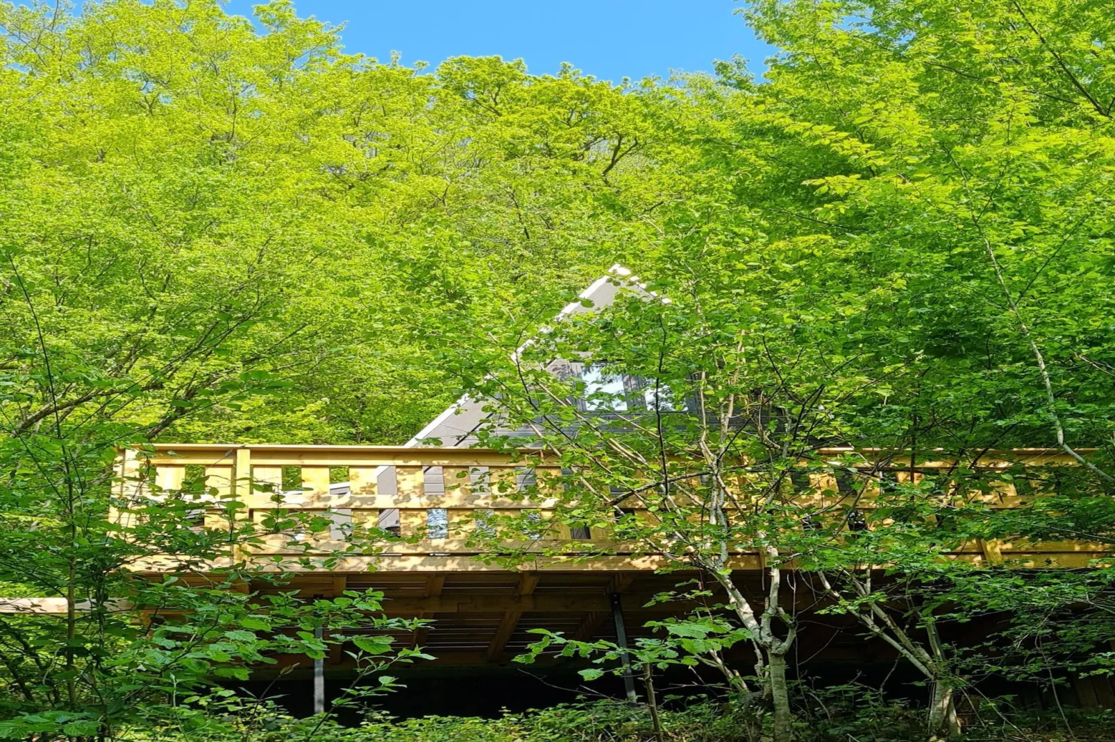 Chalet no 209-Areas within 1km in summer