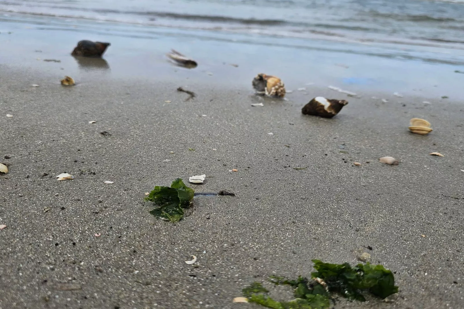 7 person holiday home in Fanø-By Traum-Water view