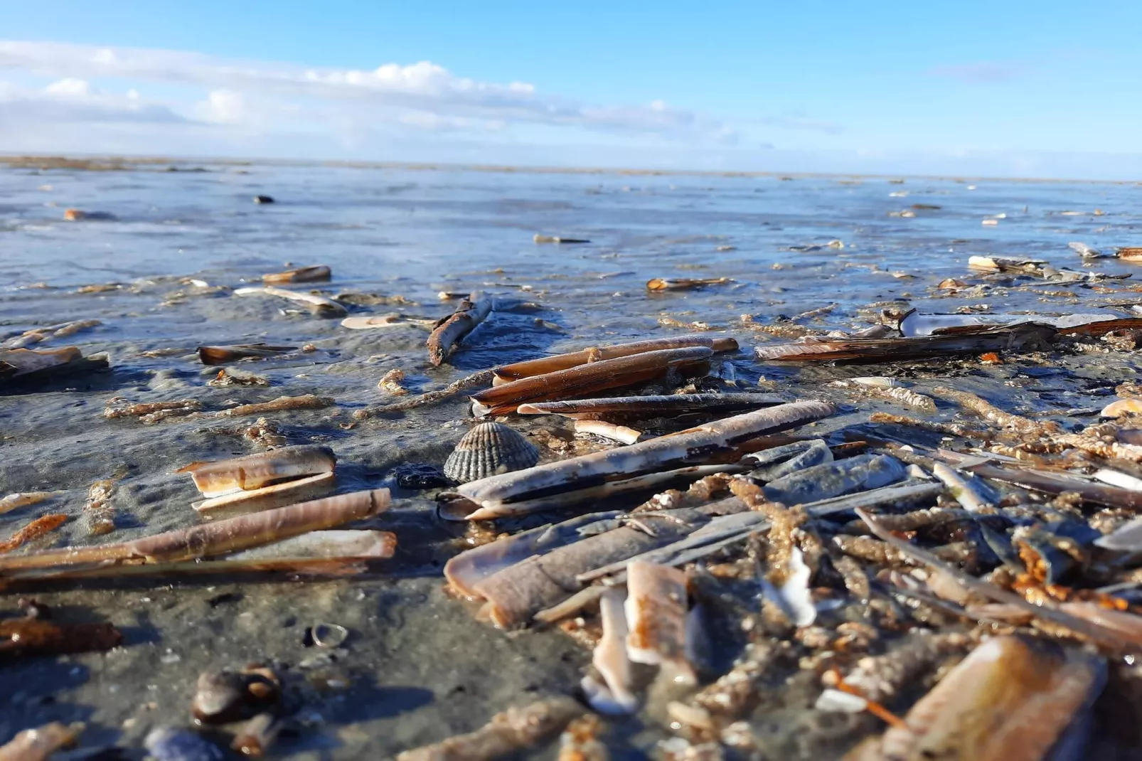 7 person holiday home in Fanø-By Traum-Water view